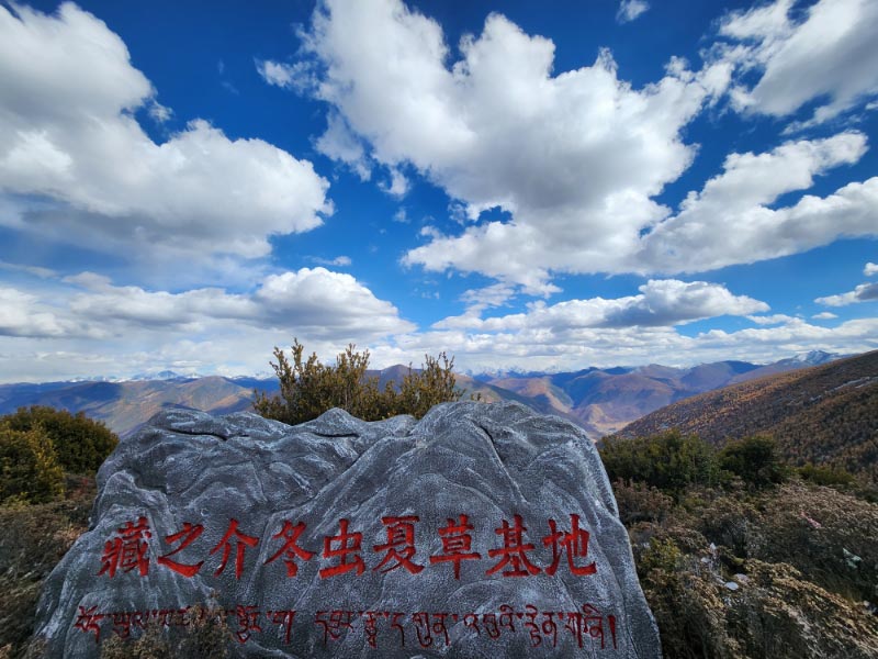 “藏之介”在贡嘎雪山海拔